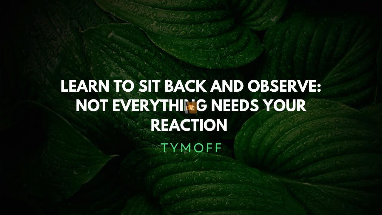 Learn to Sit Back and Observe. Not Everything Need | Tymoff