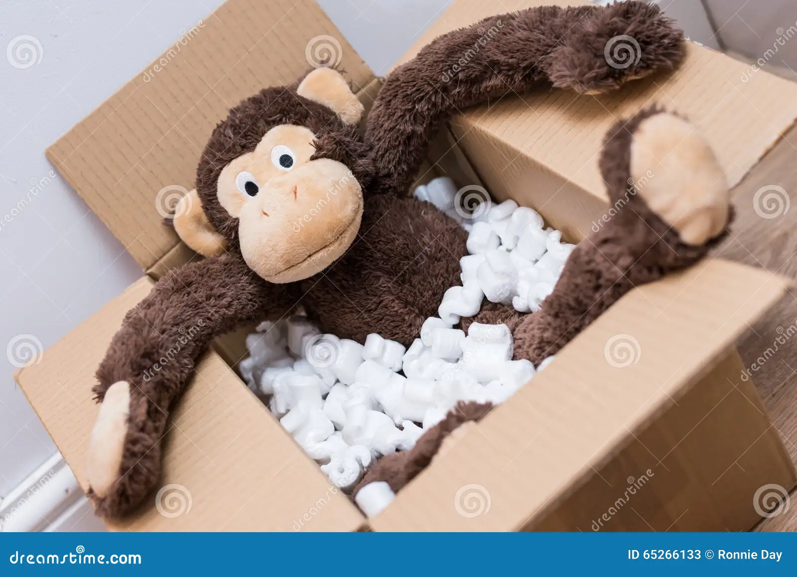 The “Monkey Carrying a Box” Incident: Understanding Algorithmic Bias in 2025